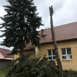 Kácení stromů na zahradě u KD Lezec na kmenu stromu s hromadou ořezaných větví pod ním